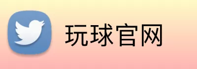 玩球官网 logo